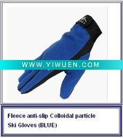 Wholesale Polartec Ski Gloves