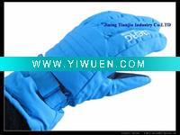 Wholesale 2011 New Lady's insulate Ski glove sports glove