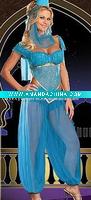 Wholesale blue sexy belly dance costumeS6927