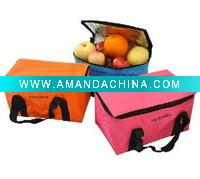Wholesale Cooler bag for fruit