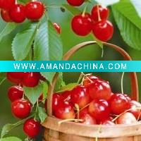 Wholesale RC Glossy W/P Photo Paper