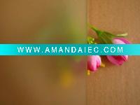 Wholesale Clear Acid Etched Glass