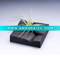 Wholesale Handicraft Air plants plate vase flowerpot Size M Color B