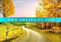 Wholesale 3d decorative painting