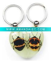Wholesale novelty gift--Real bug keychain, glowing in dark