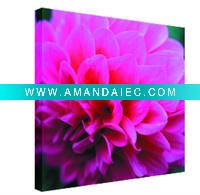 Wholesale Hot Sell -Flower Canvas art