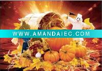 Wholesale high definition 3D decoration picture