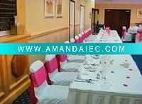 100%polyester chair covers,visa chair covers,hotel/banquet chair covers,satin sashes