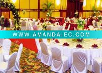 universal satin Chair Cover