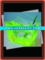 Wholesale Transparent Green Acrylic Fish Aquarium