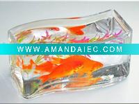 Wholesale Small Acrylic aquariums tank