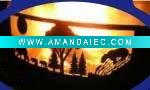 Wholesale garden fire pit ring