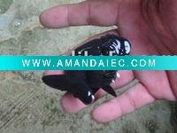 Wholesale Flowerhorn,Stingray,Betta,Africa Cichlids & Malawi,Discus,Goldfish,Angelfish,Guppy.