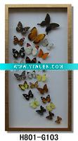 Wholesale Frame Butterfly