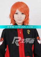 Wholesale REBORN!-Irie Shoichi Cosplay Wig Anime Wig