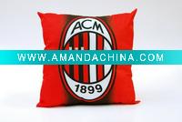 Wholesale promotion decorative cushion