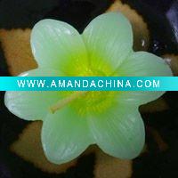 Wholesale decorative water floating gifts candle