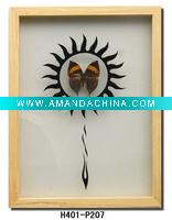 Wholesale Natural Butterfly Home Decoration