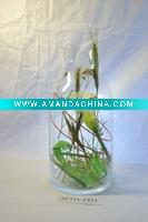 Wholesale home garden furniture decoration of glass vase with flowers