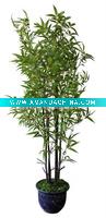 Wholesale artificial bamboo tree