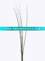 Wholesale 62" Bamboo bundle X 6