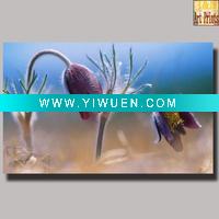 260GSM Outdoor canvas frame art for Hanging decoration