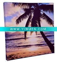 Wholesale coconut palm scenery