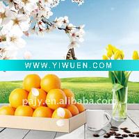 Wholesale amazing glass painting with flowers and fruit