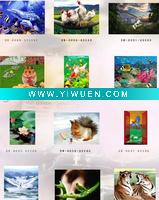 Wholesale 3D picture