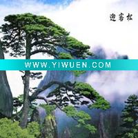 25*35cm-1231)3D picture