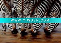 Wholesale zebra oil painting on canvas