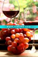 Wholesale wine bottle painting
