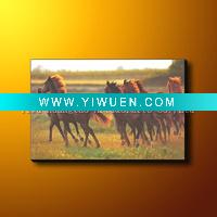 Wholesale Horse Painting