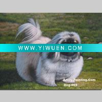 Wholesale Animal Oil Painting,Dog-003