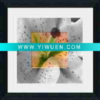 Wholesale Modern Crystal picture SJ0020-1