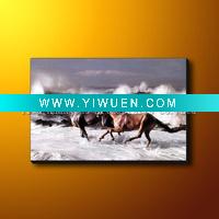 Wholesale Wild Horse Painting