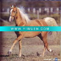 Wholesale horse oil painting,animal painting,decoration oil painting