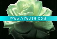 Wholesale flower art painting