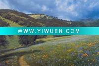Wholesale modern oil painting JF-JD-04