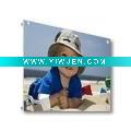 Wholesale Acrylic Print ArtAcrylic Print image Acrylic Print kids