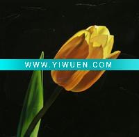 Wholesale Handmade_ Flower_Tulip_Oil_Painting, home decoration