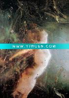 Wholesale art deco oil painting