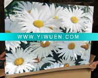 Wholesale reality flower giclee painting on canvas