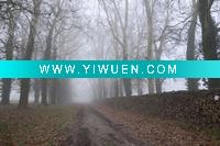 Wholesale Canvas prints A18632370