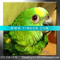 Wholesale Still life animal oil painting