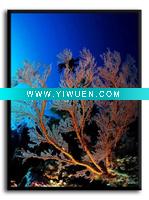 Wholesale coral painting