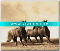 Wholesale Decoration-canvas-HD0781-B