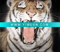 Wholesale Chinese painting animals Art work painting handpainted on paper Famous painting Hangzhou