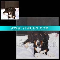 Wholesale High quality portrait painting