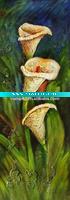 Wholesale Art handmade still life oil paintings.Hot hot sale!